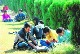 Students making the most of a bright patch to prepare for the December exams in Panjab University