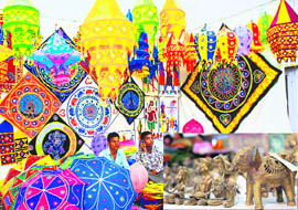 Tribal craft is displayed at its best with terracotta, cane or shell items from Chhattisgarh at the Lajpat Rai Bhavan-15.
