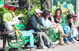 Visitors to the Museum and Art Gallery-10 soak the sun and arty-facts in the city on Thursday.
