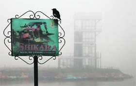 A lonely bird perched on a board at Sukhna lake as the city rose up to a foggy dawn on Monday
