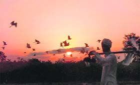 A farmer on the way back home in the backdrop of last sunset of 2008