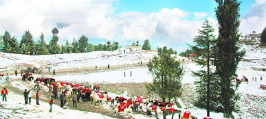 A view of Kufri after snowfall on Sunday morning.