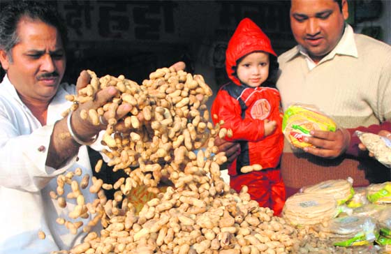 A girl child absorbs the excitement as her father buys the essentials for Lohri.