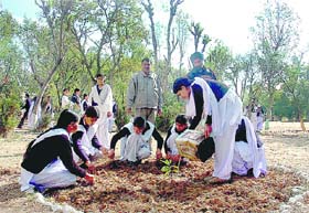 Students plant saplings at Government Higher Secondary School, Narrari Bala, Akhnoor