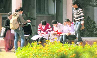 Girls studying diligently in the spring sun amidst the blooms at Panjab University