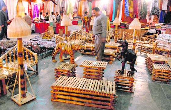 Mrignayani, an exhibition of bamboo craft from Madhya Pradesh, offers an interesting array of furniture and animal form at Lajpat Rai Bhavan in Sector 15.