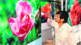 An artist giving finishing touches to the photo