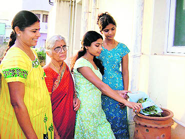 Residents of Chennai's Kalakshetra Colony and Valmiki Nagar have a self-organised garbage management system that hinges on source segregation and composting of organic manure 