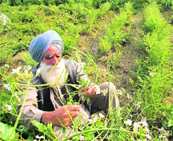 Farmers need to be persuaded to shift to organic farming