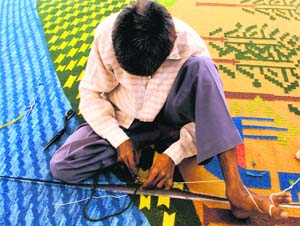 Thematic carpets will adorn some walls of the museum for which weavers from Mirzapur have been roped in
