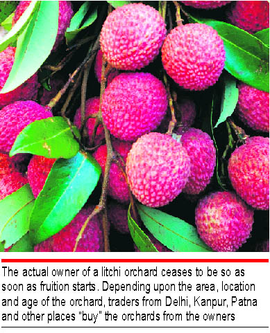 Bihar’s bounty