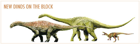 New dinos on the block