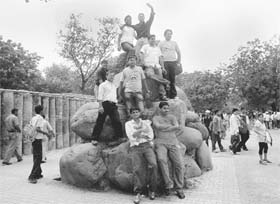 These boys have a day out at the Rock Garden.