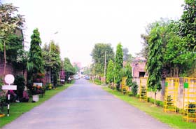 A clean street at Shamsher Avenue, where mohalla sanitation workers have done a good job