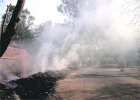 Morning walkers in Rakh Bagh felt suffocated when gardeners set park waste on fire in Ludhiana