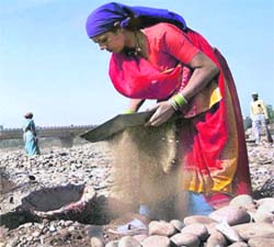 A woman labourer at work on the bank of the Tawi on the eve of International Womens Day in Jammu on Sunday. The Centre will present a Bill in Parliament on Monday aiming to reserve one-third of legislative seats for women.