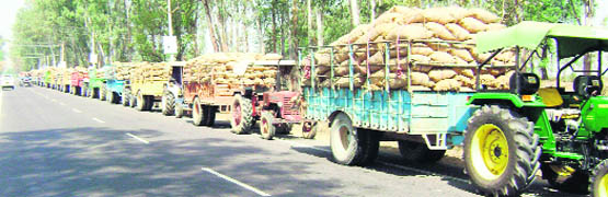 Vehicles loaded with potato bags queue up near a cold storage on the Ludhiana-Patiala road