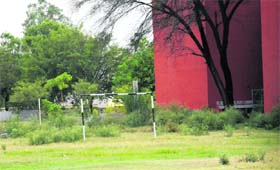Wild growth on the playground of Government Model Senior Secondary School, Sector 38