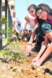 Residents of Shaheed Bhagat Singh Nagar Housfed Complex, Ludhiana undertake a plantation drive on Sunday.