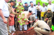 Haryana Forest Minister Ajay Singh Yadav begins the campaign by planting a sapling in Sukhomajri village on Tuesday.