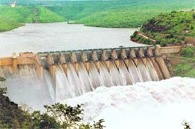 The Bhakra water level is expected to rise further but theres no need to panic, says BBMB