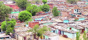 The mushrooming slums at Colony No. 5 of Chandigarh.