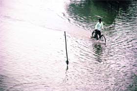 Field Ganj Waterlogged: A cyclist wades through the inundated road in Ludhiana