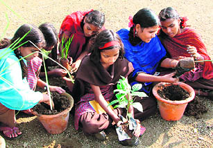 Children plant saplings of medicinal plants