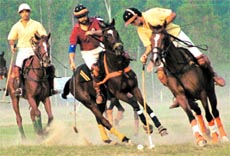 A file photo of a polo match held in Chandigarh in 2001.