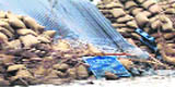 1.7 lakh wheat bags were submerged in Bani village