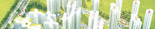 Chandigarh skyline in danger