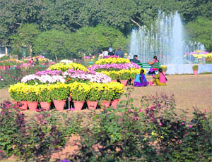 Flowers are in full bloom on the Panjab University campus.