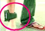 A radio tag with a GPS device around the ankle.