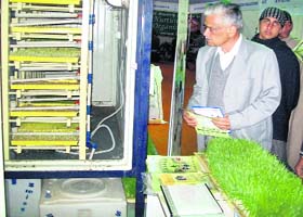 A dairy farmer looks at hydroponics plant installed at PDFA Fair at Jagraon