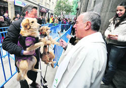 Two dogs are blessed by a priest during the festival of San Anton in Madrid recently.