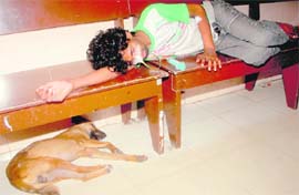 A stray dog is seen sleeping under the same bench where a patient is also lying at the CT scan and X-ray department of the Government Multi-Speciality Hospital in Sector 16, Chandigarh