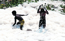 Oblivious of the danger posed by effluents released into Ghaggar river by factories, children play in it near Dera Bassi on Monday