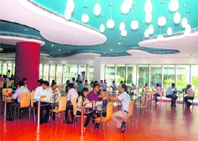 On platter: New office canteens provide everything that you can ask for