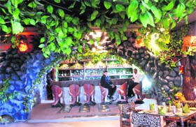 Animal instinct: Rain Forest Restaurant captures the true spirit of a tropical forest