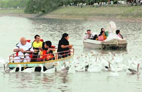 Despite a ban, people feeding the ducks at the Sukhna lake in Chandigarh