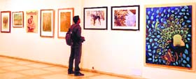 Colour block: A glimpse of some of the works at the exhibition Photos: Pradeep Tewari