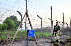 A BSF jawan patrols along the India-Pakistan border with saplings planted in the background on the Pakistan side