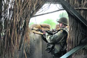 A BSF jawan stands on the border outpost partially covered by sarkanda (elephant grass) which protects them from winter