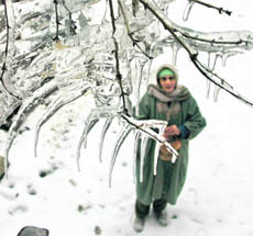 A woman looking at icicles at a tree after a snowfall in Srinagar on Monday. 