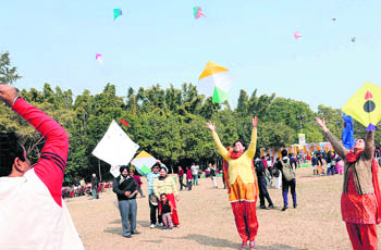 City residents fly kites on the occasion of Basant Panchami at Leisure Valley in Sector 10, Chandigarh, on Saturday.