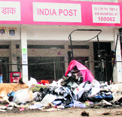 Heaps of garbage lying scattered outside the post office in Phase VII of Mohali.