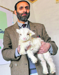 Veterinary scientist Dr Riaz Ahmad Shah holds Noorie, who weighed 1.3 kg at birth.