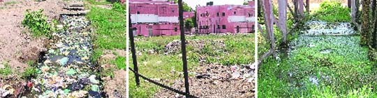 The stagnant water and garbage thrown in a nullah, a park being used as the dumping ground; and (right) stagnant water under the storage tank at Railway Colony in Ludhiana