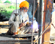 Septuagenarian Balbir Singh at his shop near the bus stand at Goindwal in Tarn Taran.
