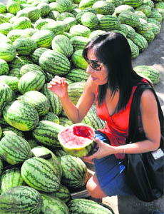 With the summer setting in, a girl relishes a watermelon in Mohali.